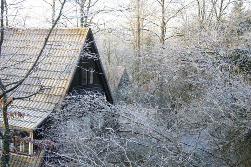 Heerlijk Vakantiehuis In Bos Bij Durbuy Kültér fotó